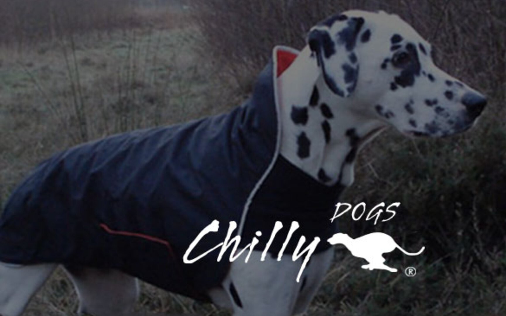 Chilly Dogs