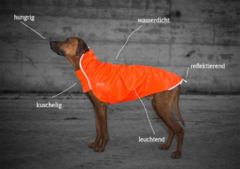 Chilly dogs rain outlet slicker